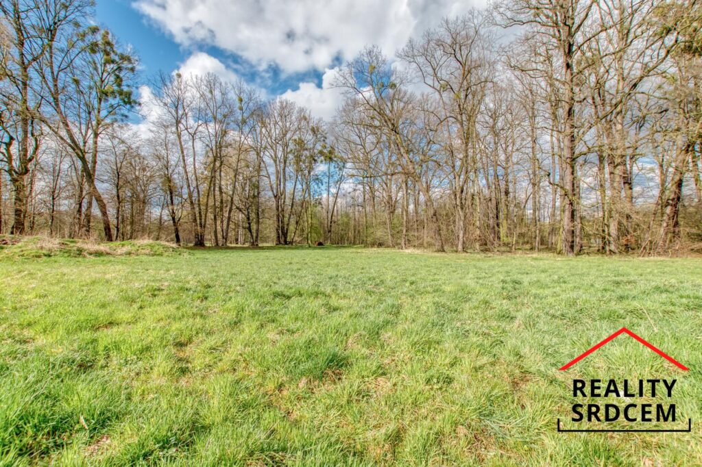 Prodej stavebního pozemku na stavbu rodinného domu 4319 m2, Petrovice u Karviné